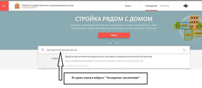 Выдача экспертного заключения