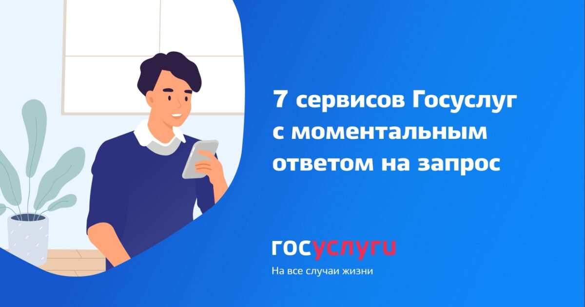 Какие сервисы портала госуслуг дают моментальный ответ