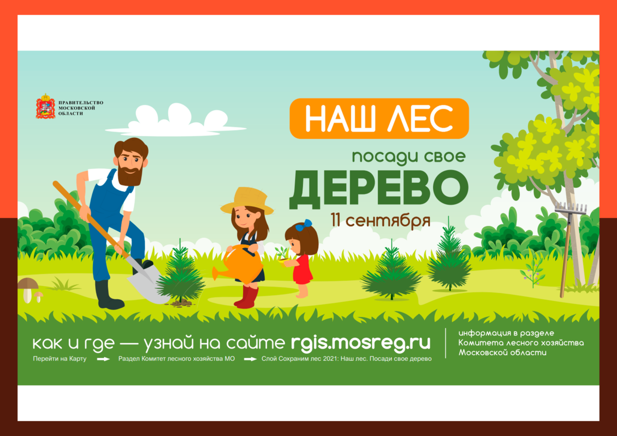 11 сентября 2021 пройдет акция «Наш лес. Посади свое дерево»