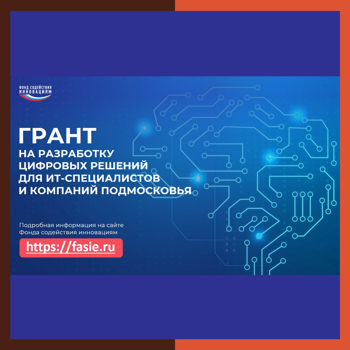 ? ИТ-специалисты и компании Подмосковья могут получить грант на разработку цифровых решений