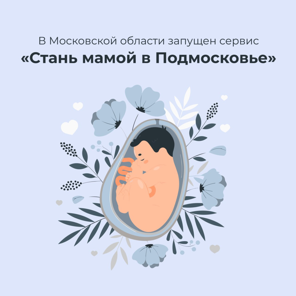 🤰 В Московской области запущен сервис «Стань мамой в Подмосковье»