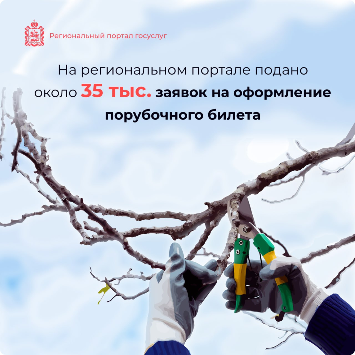 🌿 Как и зачем оформлять порубочный билет в Подмосковье?