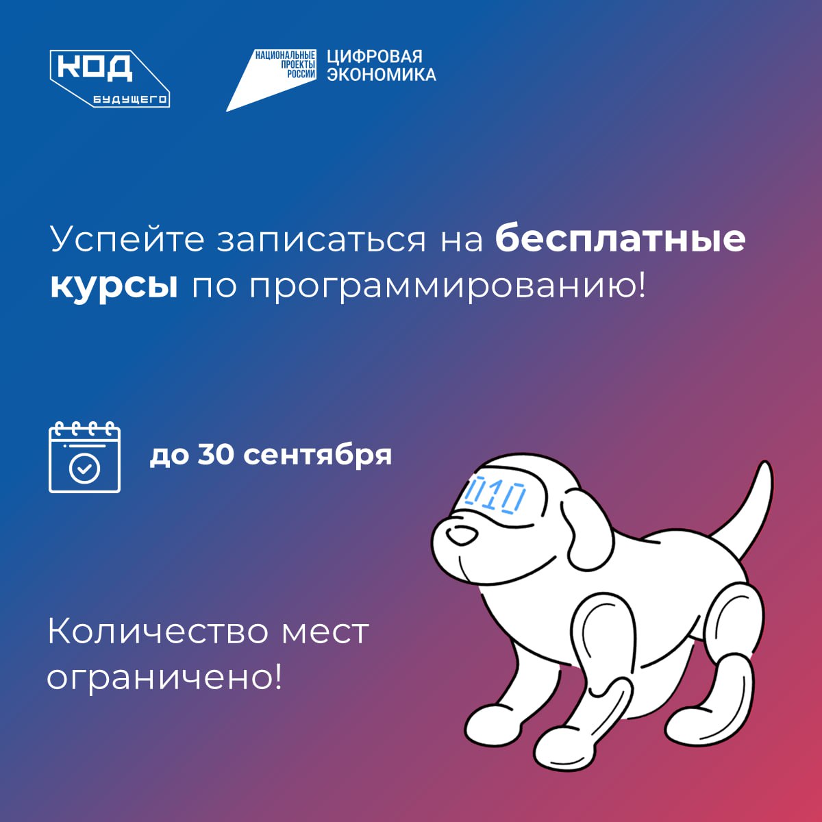 👾 Учащиеся Подмосковья могут бесплатно изучить языки программирования