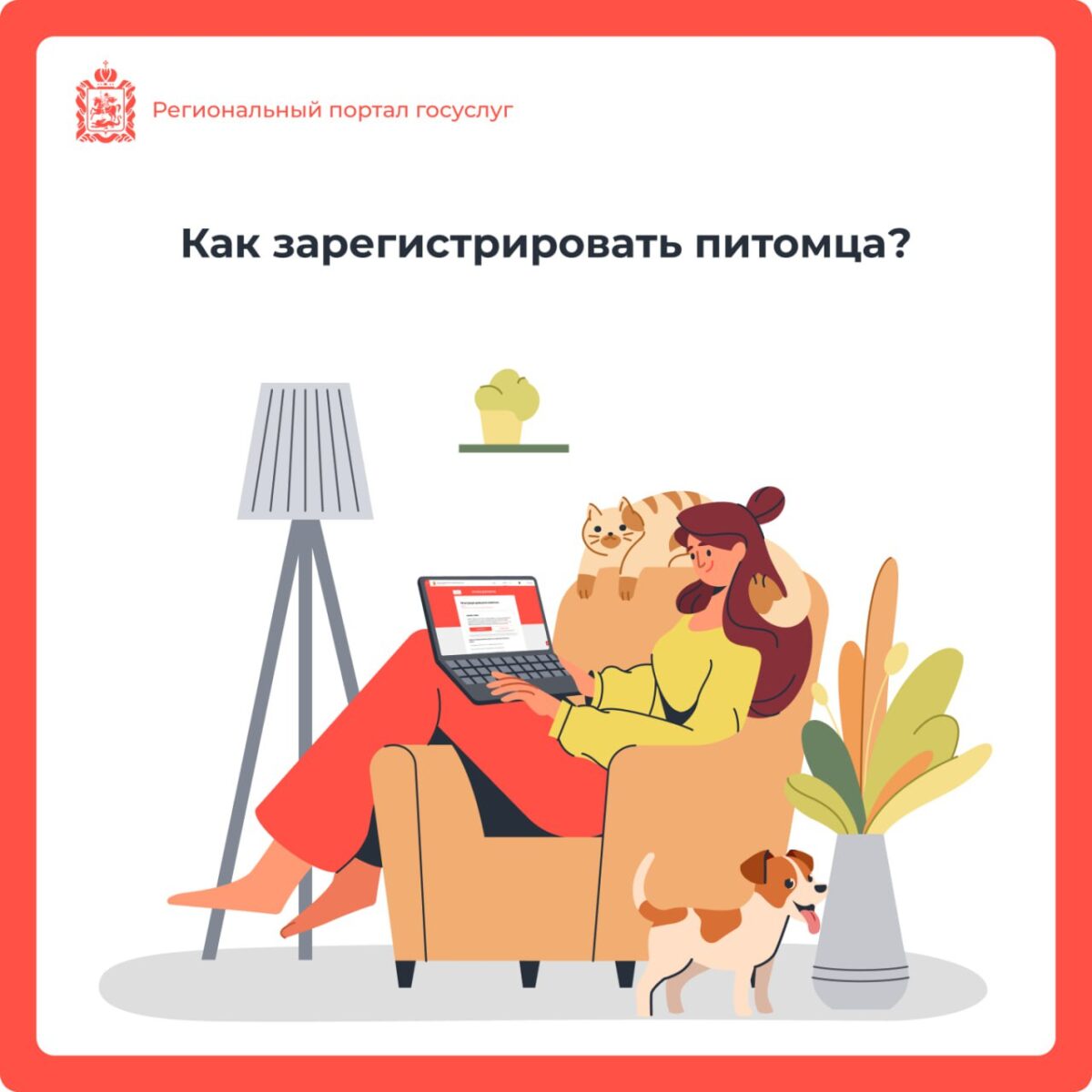 🐶 Усы, лапы и хвост – вот мои документы!