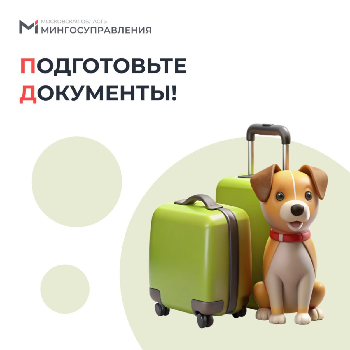 ✈️ Отправляетесь в путешествие с хвостатым другом?