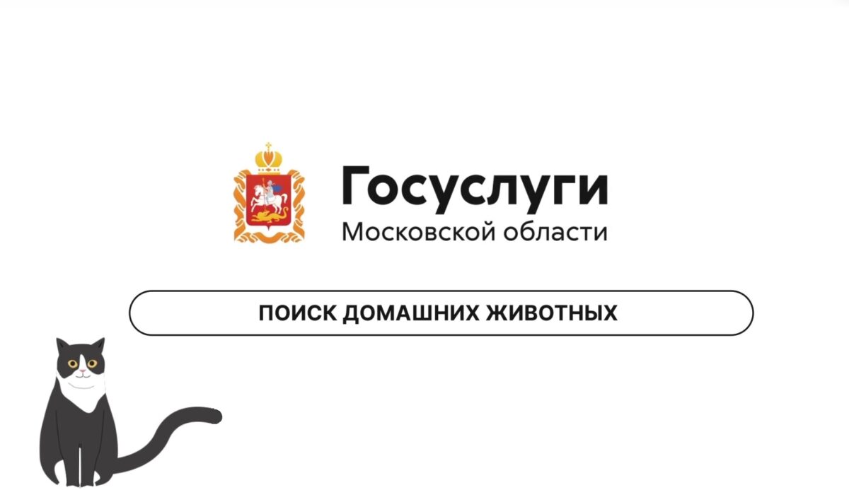 🐶 В Подмосковье запущен сервис по поиску питомцев