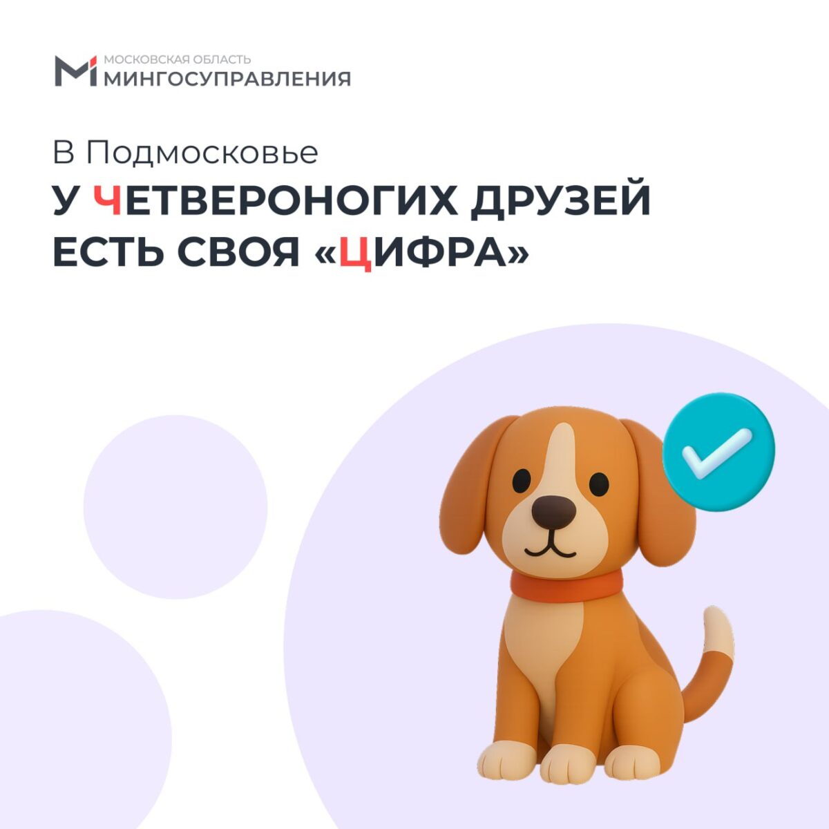 🐕 2 июля – Международный день собак!