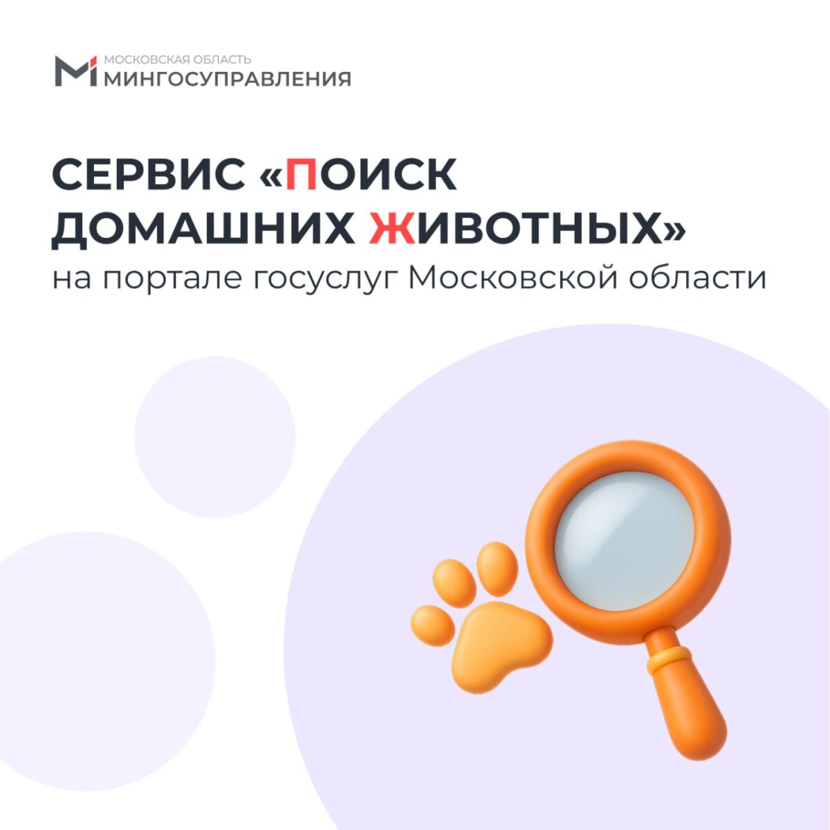 🐾 Найдем вашего хвостика вместе!