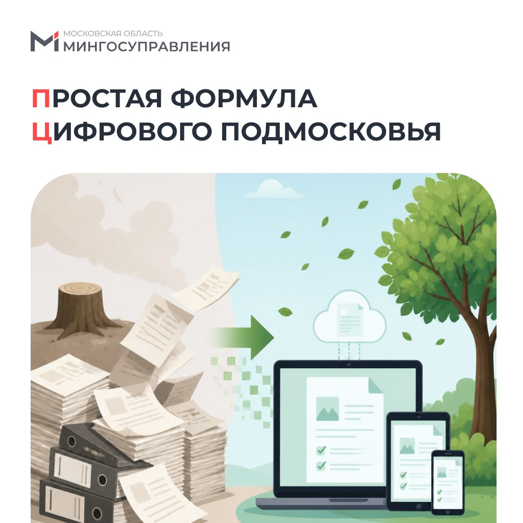 Как спасти 1000 деревьев? Простая формула цифрового Подмосковья